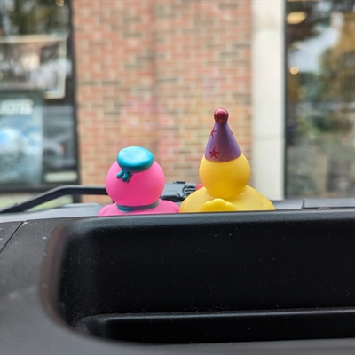Why Jeep Owners Have Rubber Ducks on Their Dash