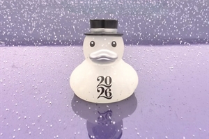 2026: The Year of the Duck